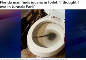 イグアナが威嚇してきたのを見たジョンさんは思わず後ずさりした。しかし一方のイグアナも相当驚いたのであろう。便器の奥に潜り込んでしまった（画像は『25 News Now　2023年5月23日付「Florida man finds iguana in toilet: ‘I thought I was in Jurassic Park’」（WSVN, JOHN RIDDLE, CNN）』のスクリーンショット）