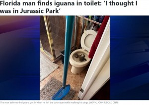 フロリダ州では外来種のイグアナが急増し、対策に追われている。手前に見えるのが、ジョンさんがイグアナを追い出すのに使ったプールのゴミ取り網（画像は『25 News Now　2023年5月23日付「Florida man finds iguana in toilet: ‘I thought I was in Jurassic Park’」（WSVN, JOHN RIDDLE, CNN）』のスクリーンショット）