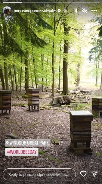 ウィンザー・グレート・パークに並べられたミツバチの巣箱。養蜂家がミツバチを飼育し、採取した蜂蜜は販売されている（画像は『The Prince and Princess of Wales　2023年5月20日付Instagram』のスクリーンショット）