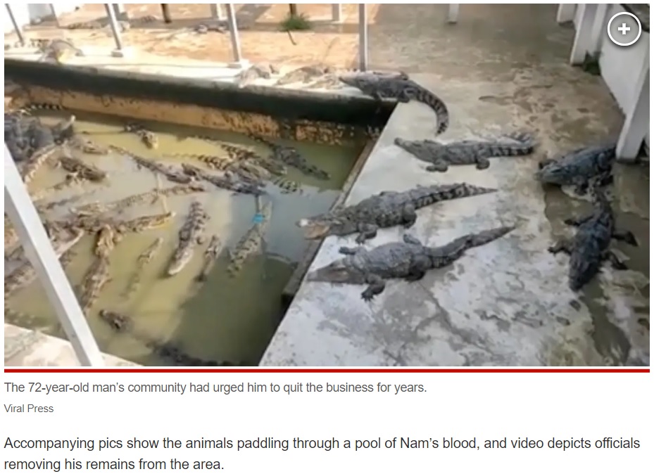 カンボジアのシェムリアップ州でワニ園を経営していた男性が養殖場の囲いの中に転落、40匹のワニに一斉に襲われて命を落とす（画像は『New York Post　2023年5月26日付「Crocodile farm boss eaten alive after 40 of his own animals ‘pounced’」（Viral Press）』のスクリーンショット）