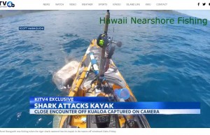 【海外発！Breaking News】サメが釣りをしていたカヤックに突撃する衝撃の瞬間　アザラシと間違えたか（米）＜動画あり＞