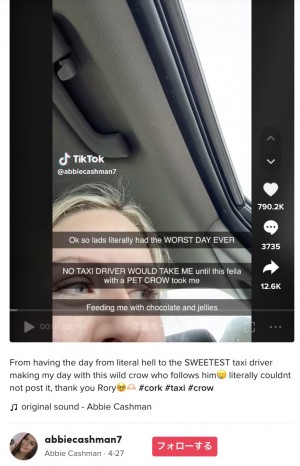 【海外発！Breaking News】車がパンクしてタクシーを利用した女性　運転手のユニークな“相棒”と出会い、最悪な一日に大笑い（アイルランド）＜動画あり＞