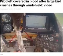 【海外発！Breaking News】巨大な鳥に突っ込まれた小型機、機内の生々しい映像に衝撃（エクアドル）＜動画あり＞