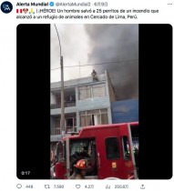 【海外発！Breaking News】ホームレスの男性が燃え盛る建物から25匹の犬を救う（ペルー）＜動画あり＞