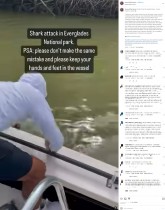 【海外発！Breaking News】男性の手を噛み、船縁から水中に引きずり込むサメ　“恐怖”の瞬間に衝撃（米）＜動画あり＞