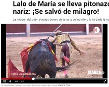 【海外発！Breaking News】闘牛士、鼻の穴に牛の角が刺さる　命に別状なし（スペイン）