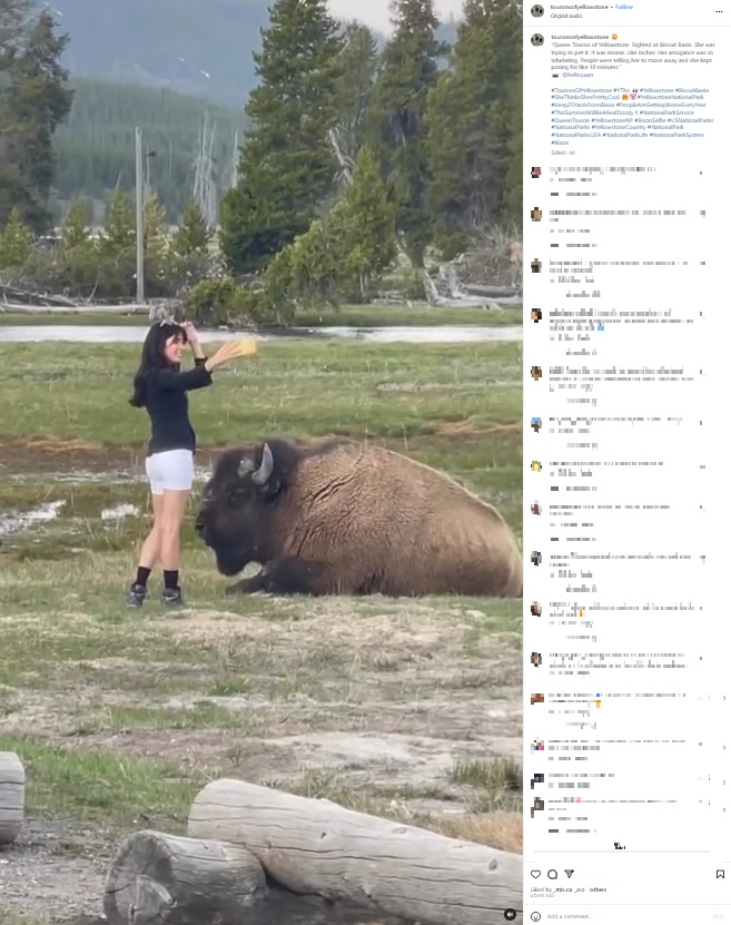 イエローストーン国立公園のバイソンのすぐそばで自撮りする女性。バイソンがいかに危険か全く理解していない様子で「愚かな観光客の女王」と揶揄され、Instagramに動画が投稿された（画像は『TouronsOfYellowstone　2023年5月28日付Instagram「Queen Touron of Yellowstone.」』のスクリーンショット）