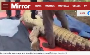 【海外発！Breaking News】体重800キロのワニの腹部に遺体の一部、4日前から行方不明だった60歳男性と確認（マレーシア）
