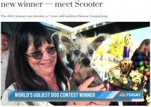 【海外発！Breaking News】「世界一醜い犬コンテスト」　今年の優勝者は“醜いの意味を変えた”「毛深いカバ」のような犬（米）＜動画あり＞