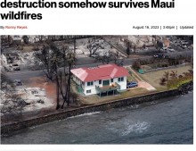 【海外発！Breaking News】マウイ島の山火事で1軒だけ無傷だった家　「なぜ？」の声に所有者が語る＜動画あり＞