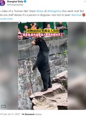 【海外発！Breaking News】臀部のたるみに注目！　中国の動物園で「着ぐるみでは？」と偽グマ疑惑浮上＜動画あり＞