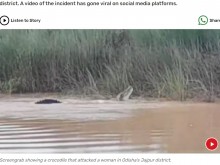 【海外発！Breaking News】川で沐浴中の女性を襲ったワニ、その後の残酷さに衝撃（印）＜動画あり＞