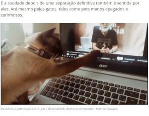 【海外発！Breaking News】亡き飼い主が映ったビデオを見る猫、その後の行動が涙を誘う（ブラジル）＜動画あり＞