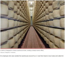【海外発！Breaking News】1つ40キロ、2万5000個のチーズが崩落　下敷きになった男性が死亡（伊）