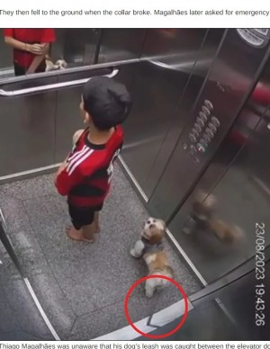 【海外発！Breaking News】エレベーター内で宙吊りになった犬、11歳少年の機転で救われる（ブラジル）＜動画あり＞