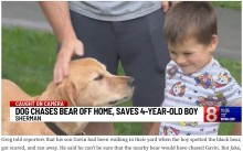 【海外発！Breaking News】庭で遊ぶ4歳男児の危機を察知した愛犬、クマを追い払い守り切る（米）＜動画あり＞