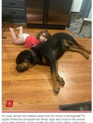 【海外発！Breaking News】行方不明になった2歳女児、森の中で見つかる　愛犬を枕にして眠っていた（米）