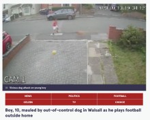【海外発！Breaking News】自宅前でサッカーをしていた10歳少年、制御不能な犬に襲われ大怪我（英）＜動画あり＞