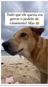 放尿後に満足した犬はその場を去っていったものの、男性はせっかくのプロポーズの瞬間を台無しにされ、唖然とした表情を浮かべていた（画像は『Amo Meu Pet　2023年8月31日付「Vira-lata caramelo passa de todos os limites e acaba com cena romântica na praia」』のスクリーンショット）