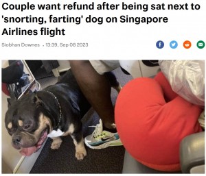 【海外発！Breaking News】「隣の犬のオナラが臭い」空の旅が台無しになった夫婦、シンガポール航空にチケット代の全額返金を要求