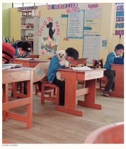 「先生お願いが…」愛犬を案ずる少年の優しさに教師が心打たれる（ペルー）＜動画あり＞