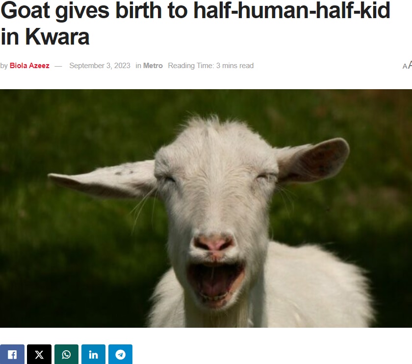 ナイジェリア西部クワラ州の村の農家で先月30日夜、2匹の子ヤギが誕生した。2匹のうちの1匹は正常だったものの、もう1匹は人間にそっくりで「人間とヤギのハーフ？」と噂になった（画像は『Tribune Online　2023年9月3日付「Goat gives birth to half-human-half-kid in Kwara」』のスクリーンショット）