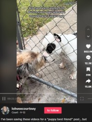 【海外発！Breaking News】フェンス越しの挨拶を3年、友達犬の死を悟った瞬間の犬に涙（米）＜動画あり＞