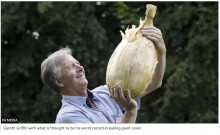 【海外発！Breaking News】重さ約9kg！　巨大タマネギが世界記録を破り、ギネス申請へ（英）
