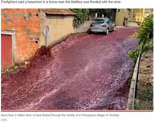 【海外発！Breaking News】住宅街を流れる“深紅の川”　醸造所のタンクが崩壊、赤ワインの洪水に（ポルトガル）＜動画あり＞