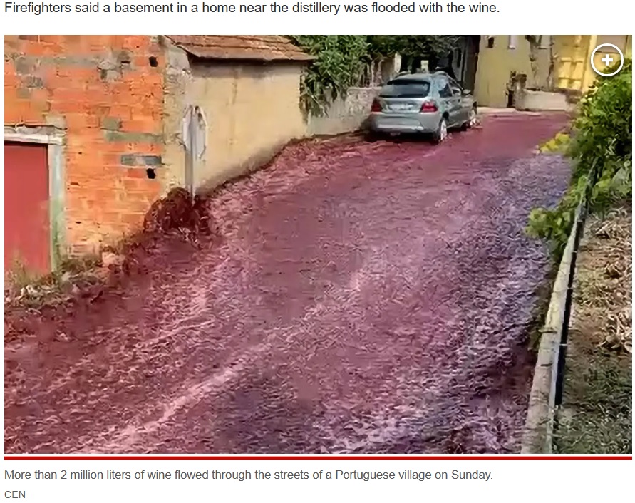 人口2000人ほどのポルトガルの小さな村で、紅い液体が勢いよく流れる驚きの光景が撮影された。とめどなく流れる液体に、住民は困惑していた（画像は『New York Post　2023年9月11日付「600,000 gallons of red wine flow through Portuguese town after spill, triggering environmental warning」（CEN）』のスクリーンショット）
