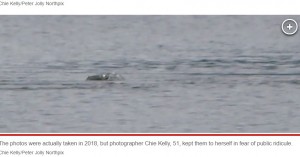 チエさんは当初、「1頭のカワウソか、カワウソのつがい、またはアザラシかとも思った」というが、水面で奇妙な動きを繰り返し、音を立てることもなかったという（画像は『New York Post　2023年8月31日付「‘New ‘sighting’ of Loch Ness monster captured in ‘most exciting’ photos ever」（Chie Kelly/Peter Jolly Northpix）』のスクリーンショット）