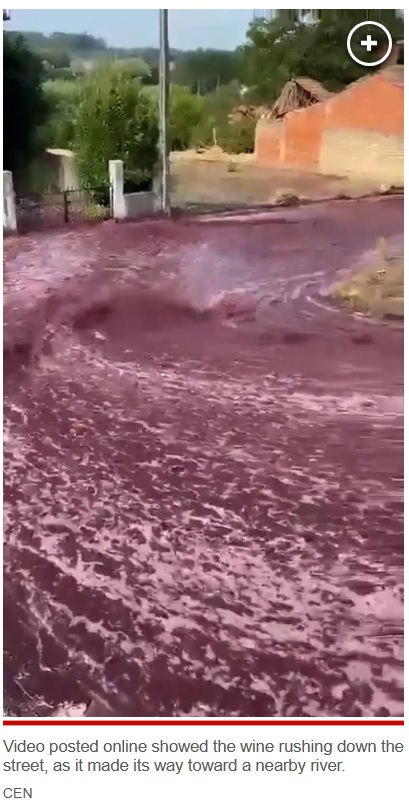 近くの醸造所で赤ワインを貯蔵していたタンクが崩壊し、220万リットルもの赤ワインが流れ出てしまった（画像は『New York Post　2023年9月11日付「600,000 gallons of red wine flow through Portuguese town after spill, triggering environmental warning」（CEN）』のスクリーンショット）