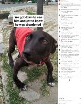 【海外発！Breaking News】「足が曲がっている」と捨てられた犬、保護され“愛と優しさ”で奇跡が起きる（印）＜動画あり＞