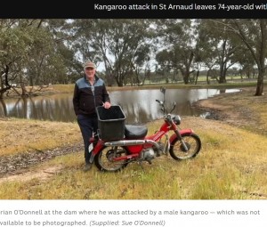 【海外発！Breaking News】バイクで走行中、カンガルーにヘッドロックを食らった74歳男性　パンチで抵抗（豪）