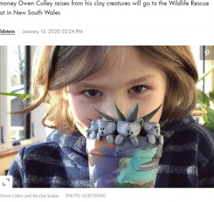 米マサチューセッツ州の6歳男児、2019年から猛威を振るうオーストラリアの森林火災に心を痛め、粘土のコアラで1900万円超の寄付を集めていた（画像は『People.com　2020年1月15日付「6-Year-Old Boy’s Clay Koalas Have Raised Over ＄51K for Australian Fire Relief 」（PHOTO:GOFUNDME）』のスクリーンショット）