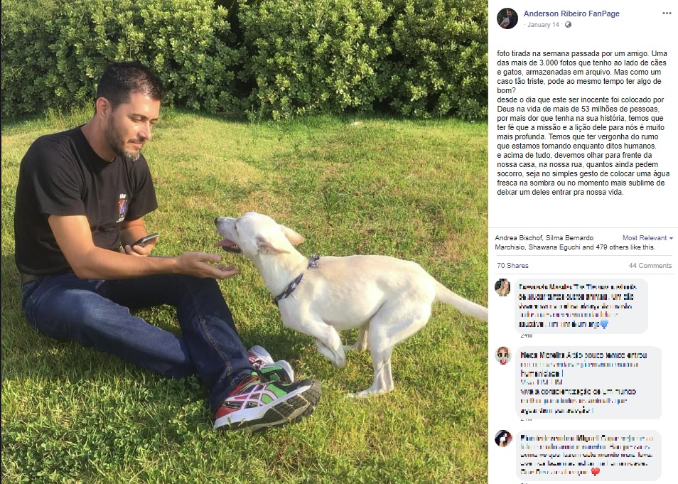 ブラジルで2020年、道路に捨てられた3本足の犬。動物保護施設に引き取られ、その後は新しい飼い主が決まったという（画像は『Anderson Ribeiro FanPage　2020年1月14日付Facebook「foto tirada na semana passada por um amigo.」』のスクリーンショット）