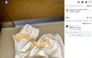 便の検査でリボン状のサナダムシが発見され、男性は駆虫薬を処方される（画像は『Health online by หมอเฉพาะทางโรคทางเดินอาหารและตับ　2023年11月15日付Facebook「ชาวญี่ปุ่น มารพ.ปรึกษาด้วยเรื่อง」』のスクリーンショット）
