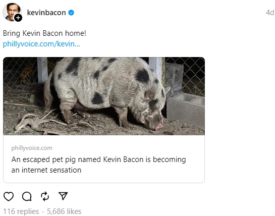 脱走した同名のブタの捜索ページをシェアする米俳優ケヴィン・ベーコンは、動物愛好家としても知られる（画像は『Kevin Bacon　2023年10月27日付Threads「Bring Kevin Bacon home!」』のスクリーンショット）
