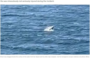 【海外発！Breaking News】サーフィン中にクジラと衝突　衝撃の瞬間を捉えた映像に驚愕の声（豪）＜動画あり＞