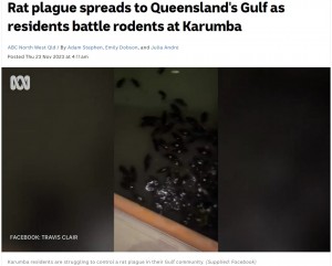 トラヴィス・クレールさんが撮影した動画には、何百匹ものネズミが海水に浮き沈みする様子が映っていた（画像は『ABC（Australian Broadcasting Corporation）　2023年11月23日付「Rat plague spreads to Queensland’s Gulf as residents battle rodents at Karumba」（Supplied: Facebook）』のスクリーンショット）