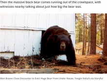 【海外発！Breaking News】軒下に侵入した巨大クマ　がん具銃を発砲され逃げ出す映像に衝撃（米）＜動画あり＞