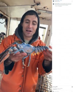 体の左側はキレイな青で雄という。7歳から漁に出ているジェイコブさんでも「これまでにたくさんの珍しいロブスターを捕獲したけど、こんな個体は見たことがない」と大興奮していた（画像は『Jacob Knowles　2023年11月15日付Instagram「One of the rarest lobsters in the ocean!」』のスクリーンショット）