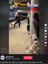 【海外発！Breaking News】電車が近づく駅のホームで男性を突然襲った大型犬　飼い主に非難殺到（英）＜動画あり＞