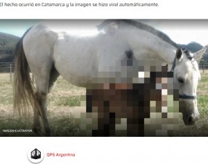 【海外発！Breaking News】額にダイヤモンド型の巨大目が1つある子馬、鼻孔なしで誕生（アルゼンチン）