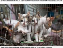 【海外発！Breaking News】1か月に猫300匹をバケツの中で溺死させる残忍さ！　猫肉提供のレストラン廃業へ（ベトナム）＜動画あり＞