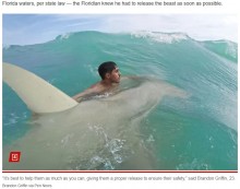 【海外発！Breaking News】3メートル超のサメを釣ってしまった男性、釣り針を外し一緒に泳いで海へと帰す（米）＜動画あり＞