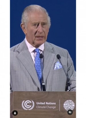 【イタすぎるセレブ達】チャールズ国王、「COP28」で着用したネクタイの柄は特別なメッセージか