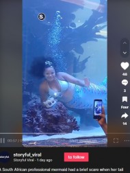 【海外発！Breaking News】人魚に扮した女性、水槽内で溺れそうになるも“神対応”で危機回避（南ア）＜動画あり＞