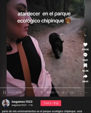 【海外発！Breaking News】クマに追われた女性、緊張するも“走らず”に無事で「幸運だった」（メキシコ）＜動画あり＞