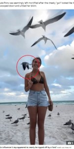ビーチで動画撮影中のレレさん。上空に飛んでいたカモメの1羽がビキニの紐をくわえているのが見て取れる（画像は『The Sun　2024年1月11日付「SQUAWK-WARD! Cheeky moment influencer Lele Pons nearly goes TOPLESS as hilarious vid ‘shows seagull untie her bikini’」（Credit: Jam Press Vid）』のスクリーンショット）